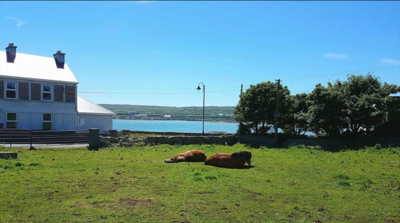 Seacrest B&B Kilronan  Екстериор снимка